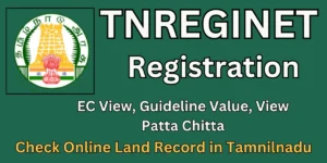 TNREGINET Portal